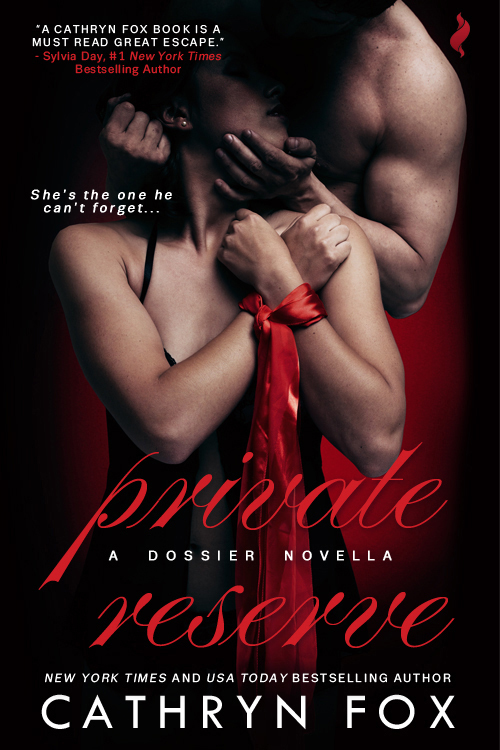 Dossier book cover 1