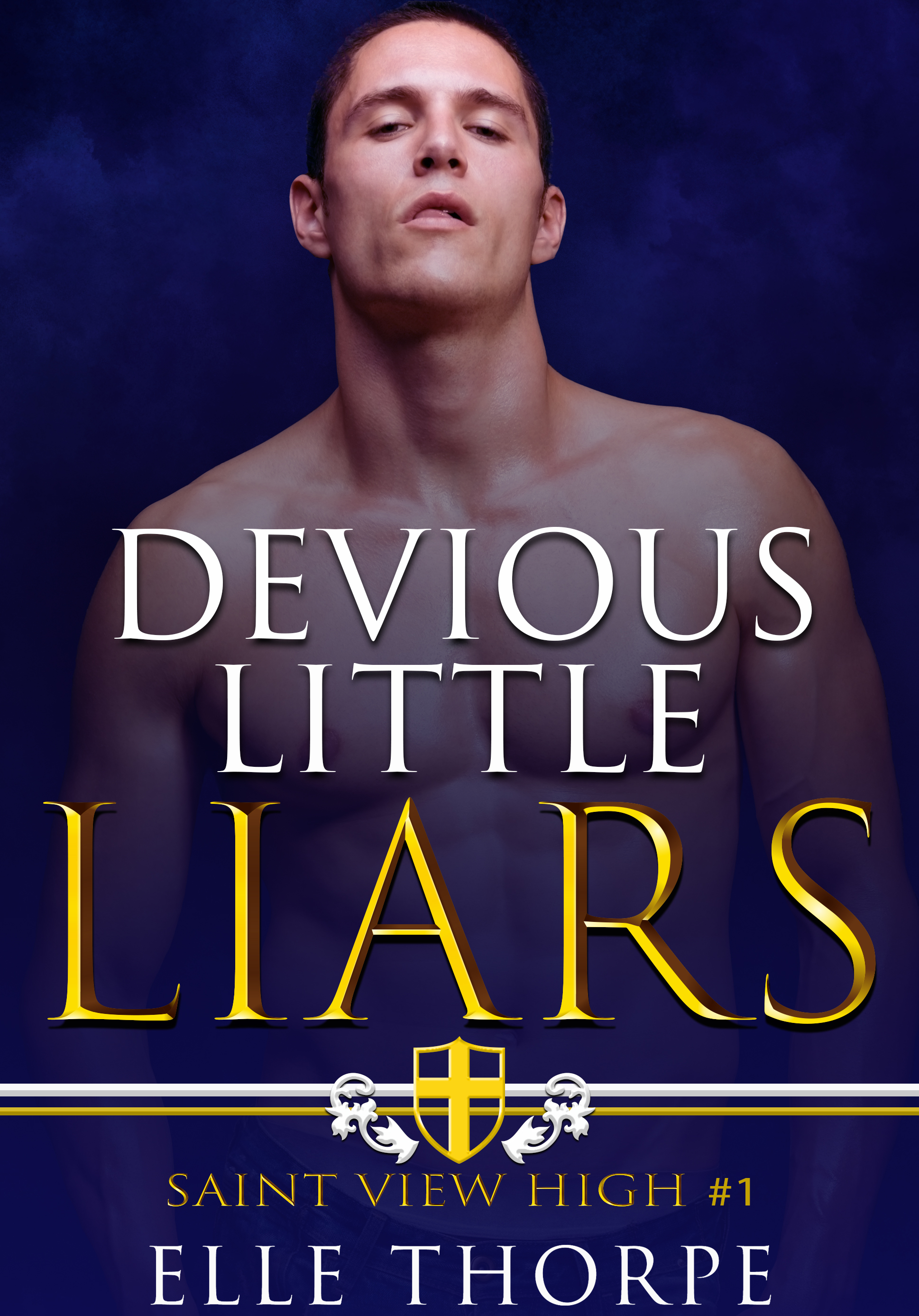 Saint View High book cover 1