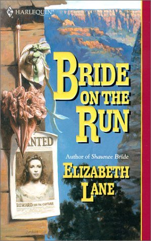 Bride On The Run book cover