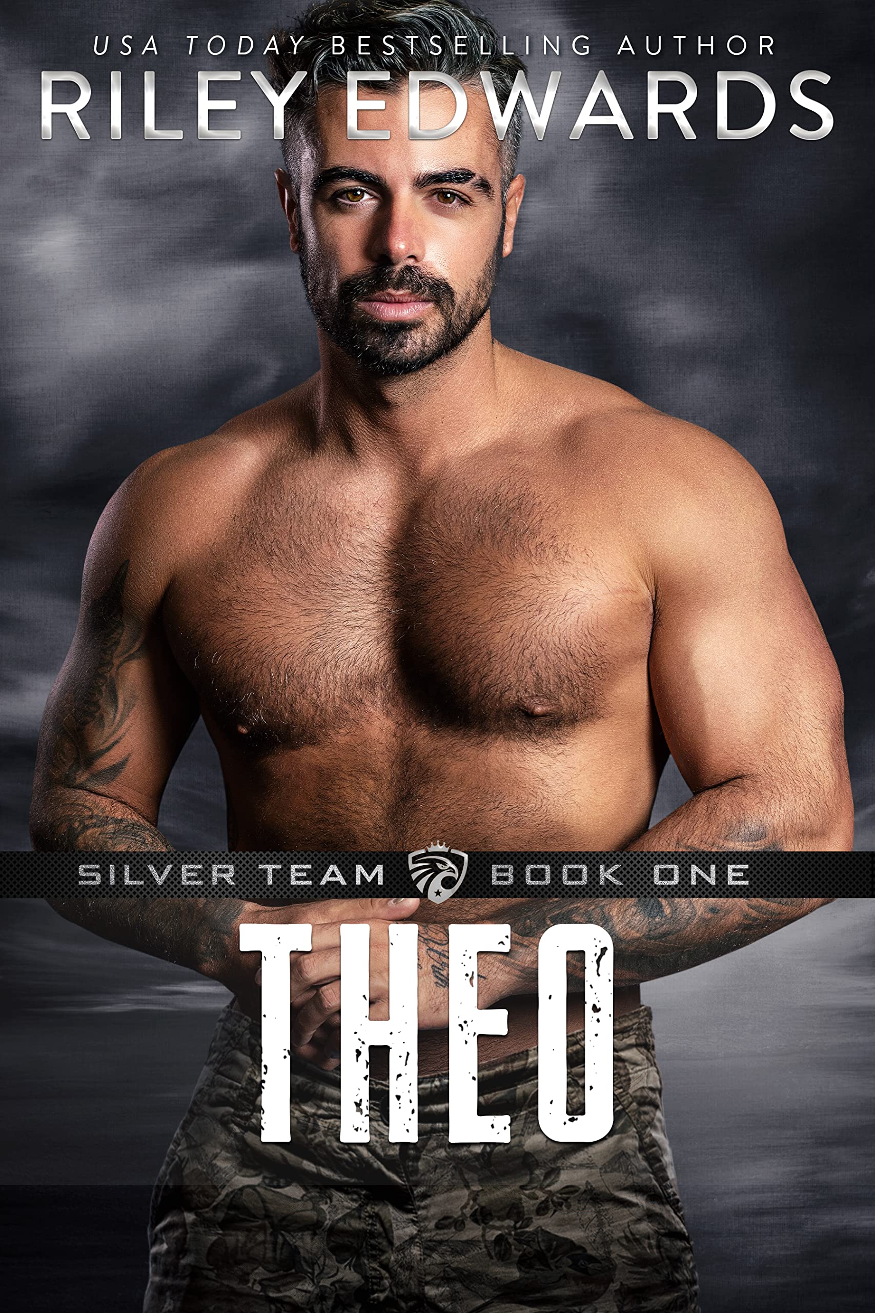 Silver Team book cover 1