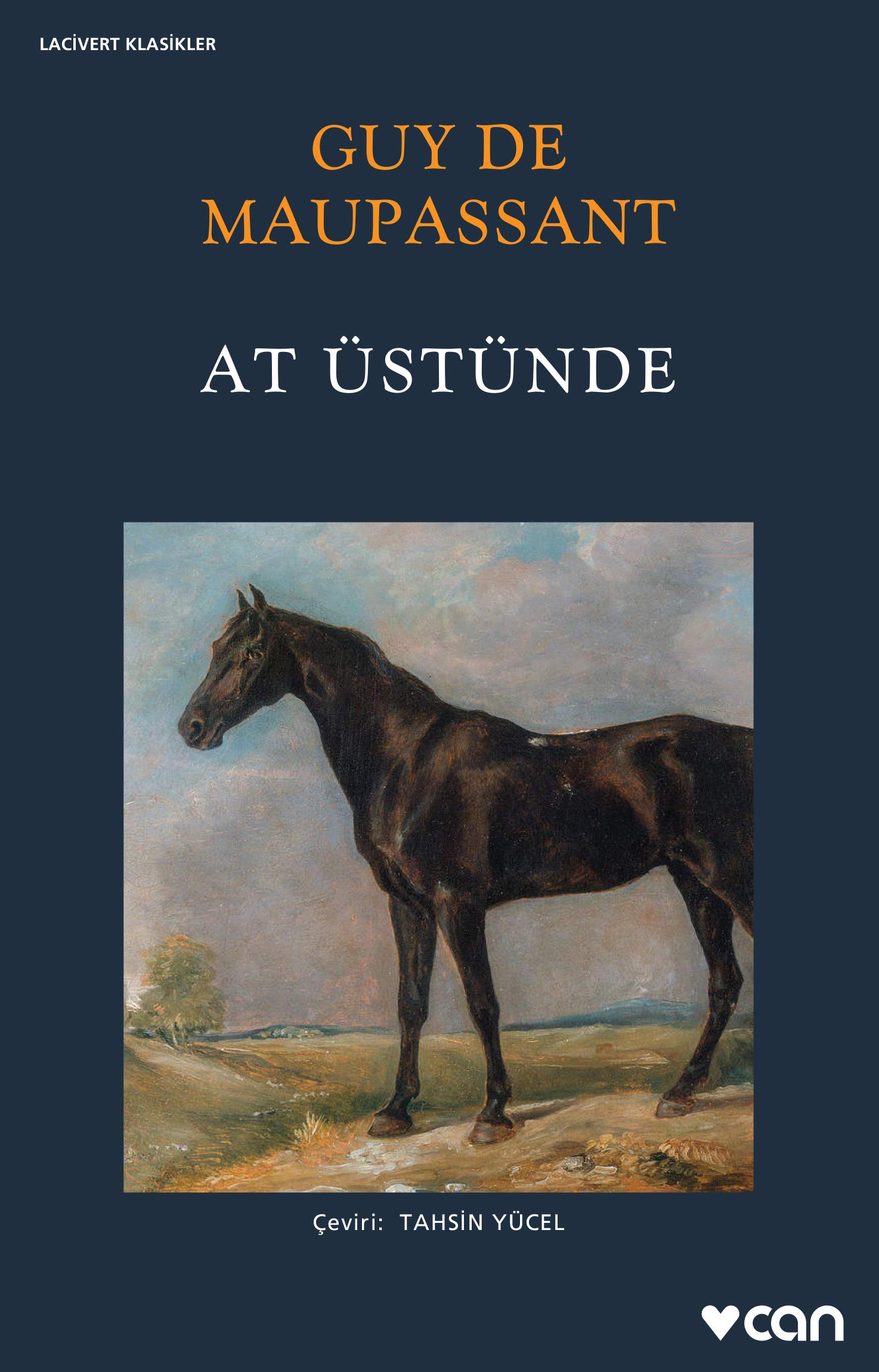 At Üstünde book cover
