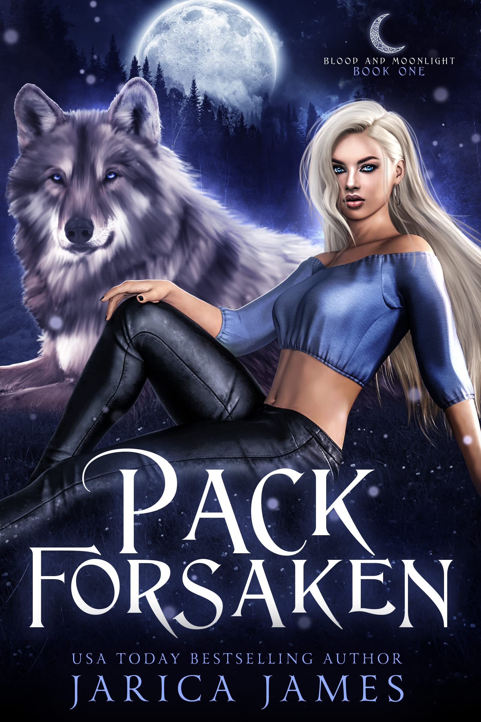 Blood and Moonlight book cover 3