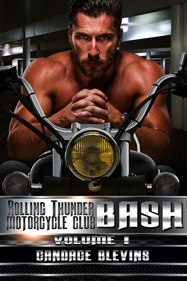 Bash book cover