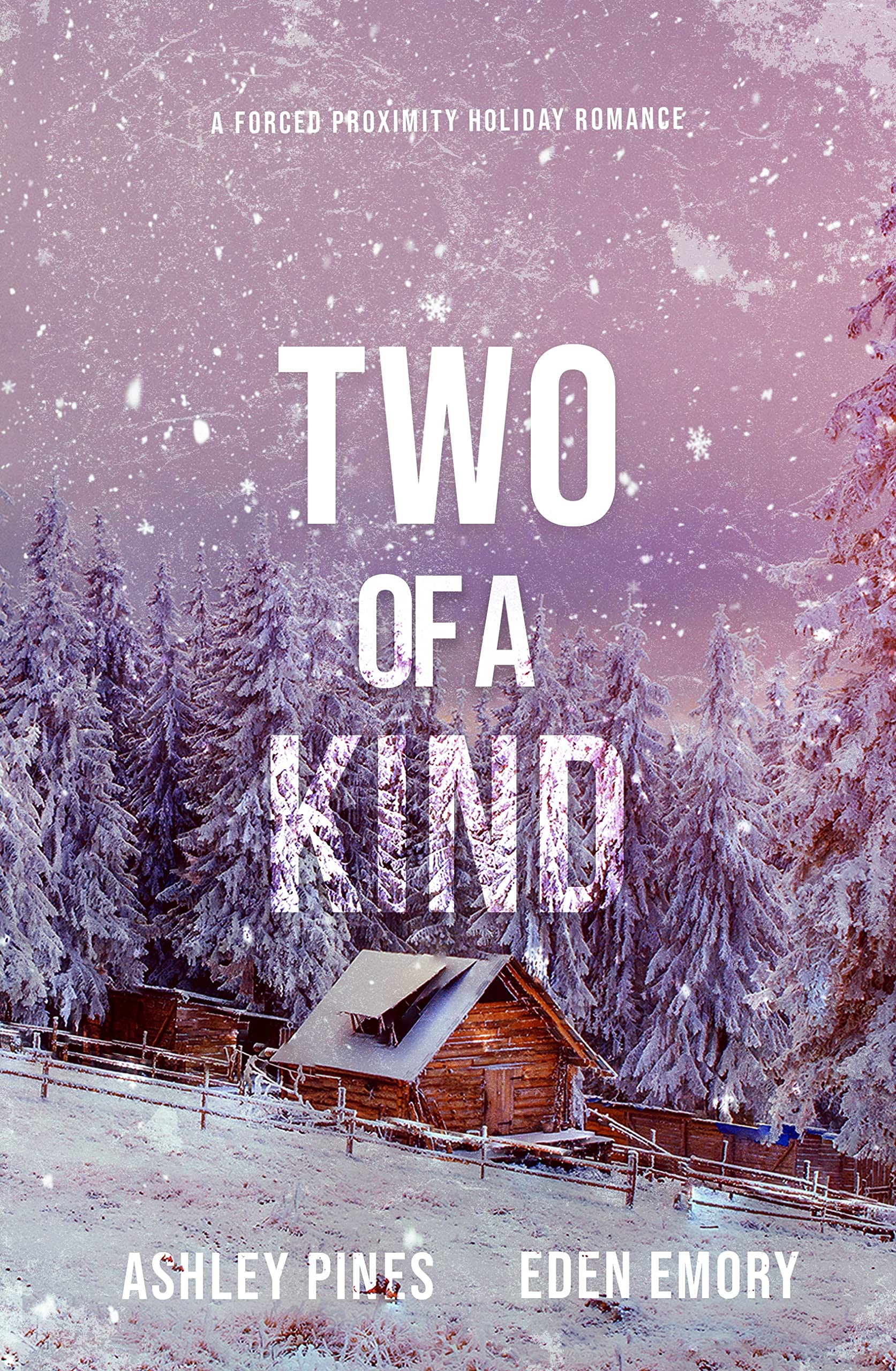 Two of a Kind book cover