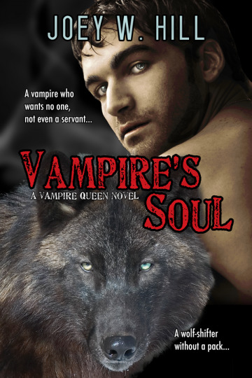 Vampire's Soul book cover