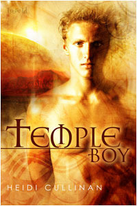 Etsey Novels book cover 2