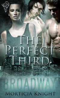 The Perfect Third book cover