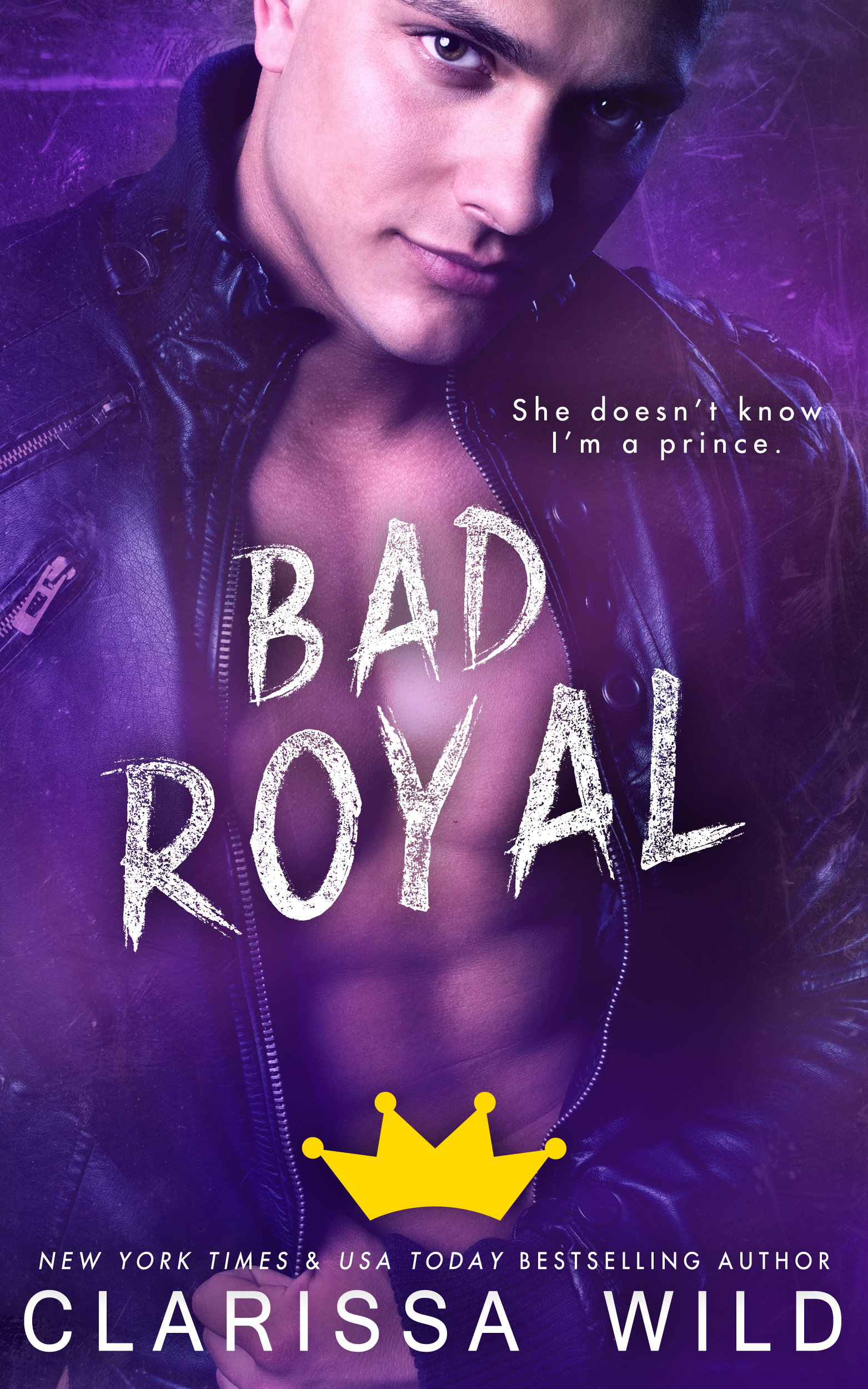 Unprofessional Bad Boys book cover 3