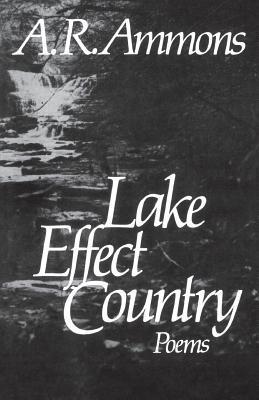 Lake Effect Country book cover