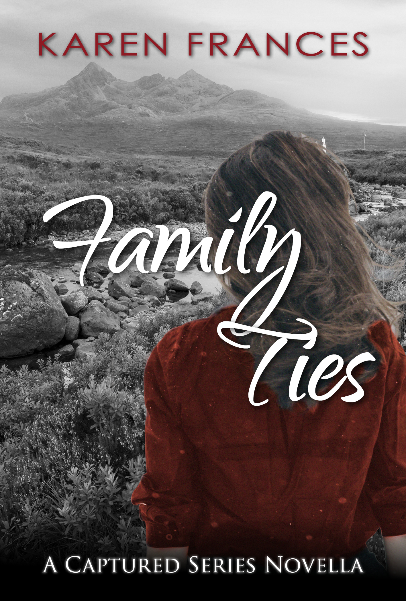 Family Ties book cover
