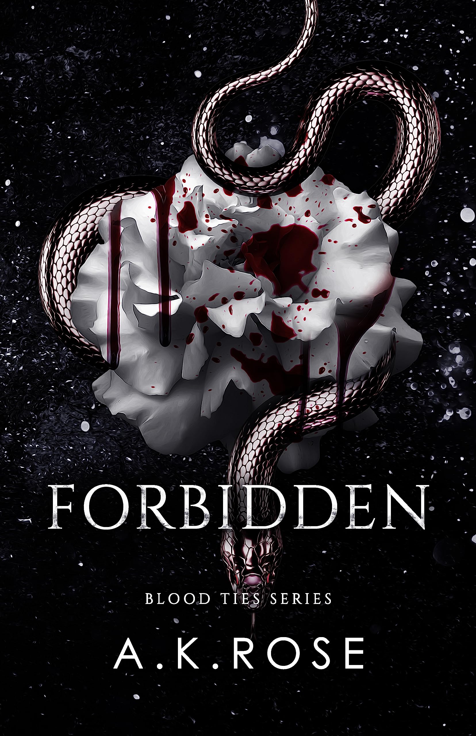Forbidden book cover