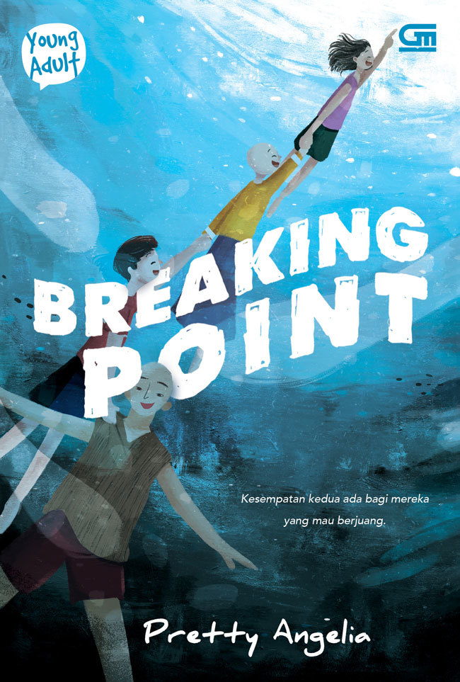 Breaking Point book cover
