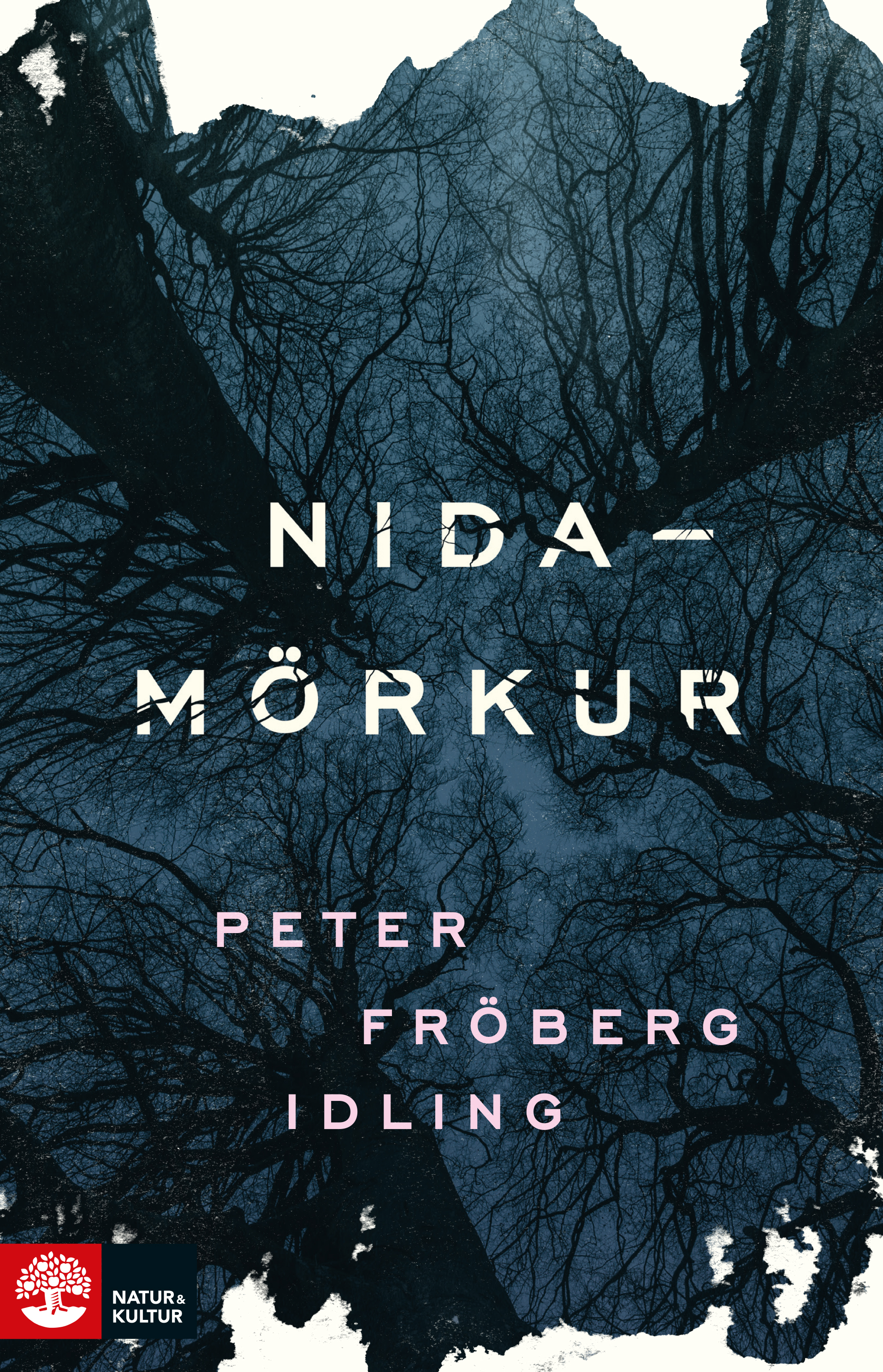 Nidamörkur book cover