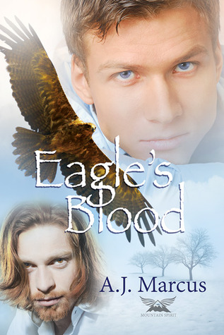 Mountain Spirit Mysteries book cover 1