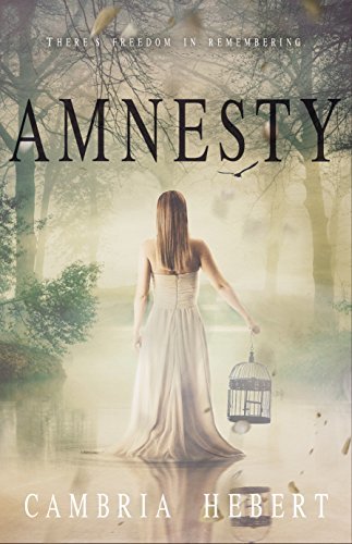 Amnesia book cover 2