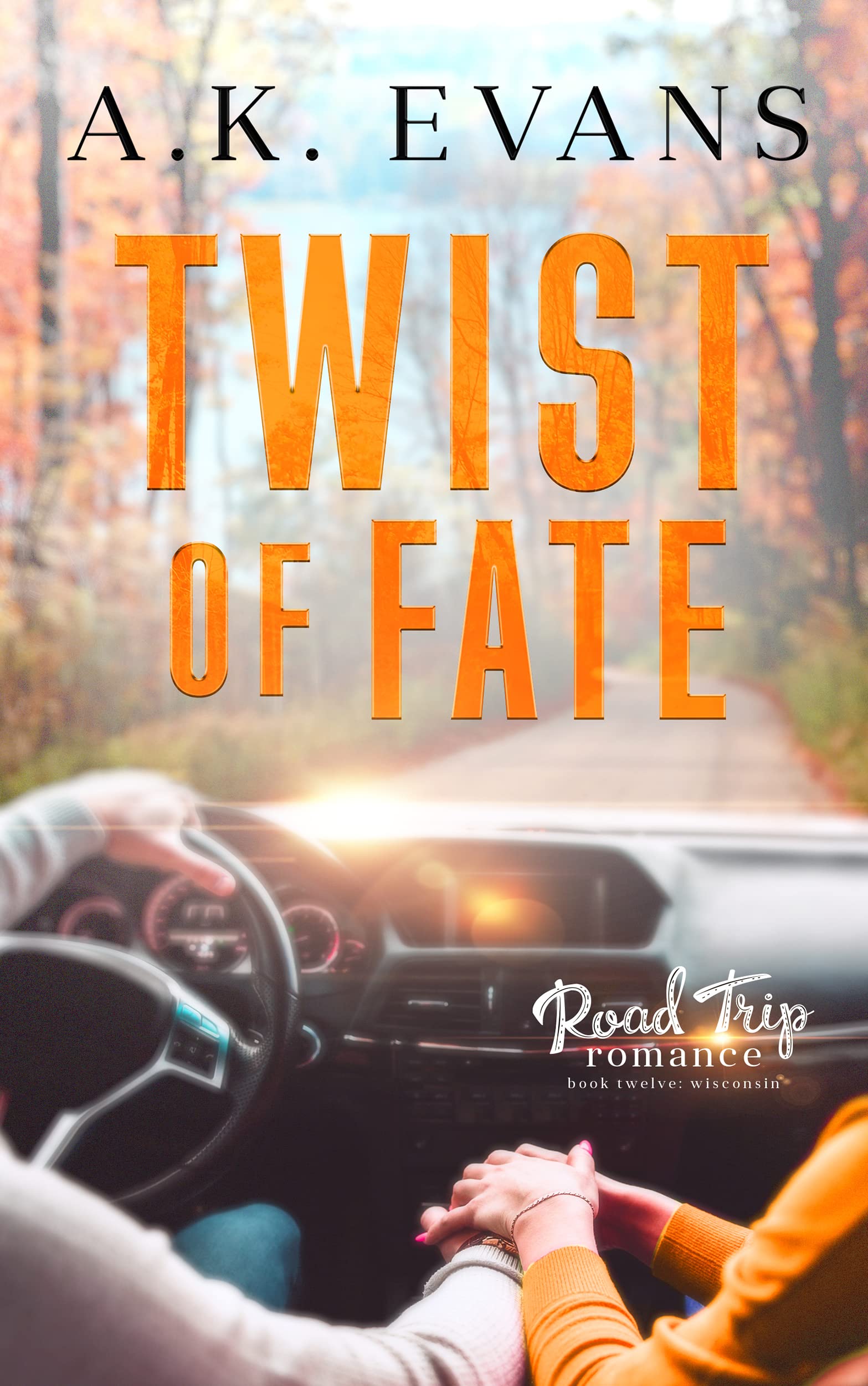 Twist of Fate book cover