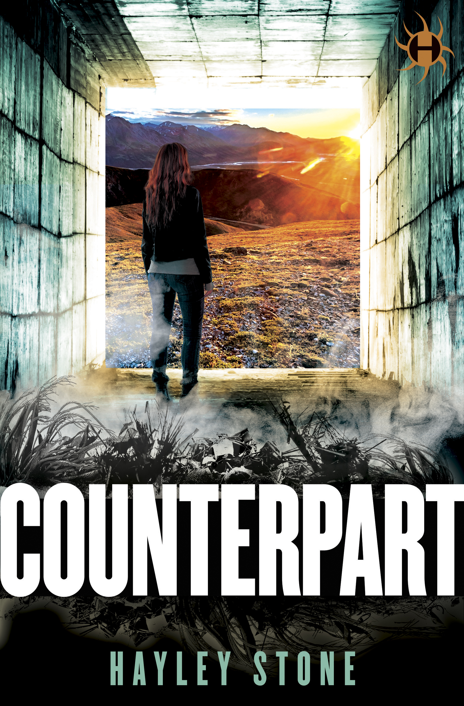 Last Resistance book cover 2