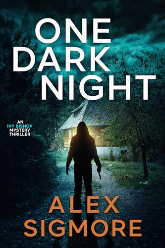 One Dark Night book cover