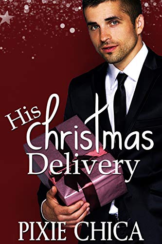 His Christmas Delivery book cover