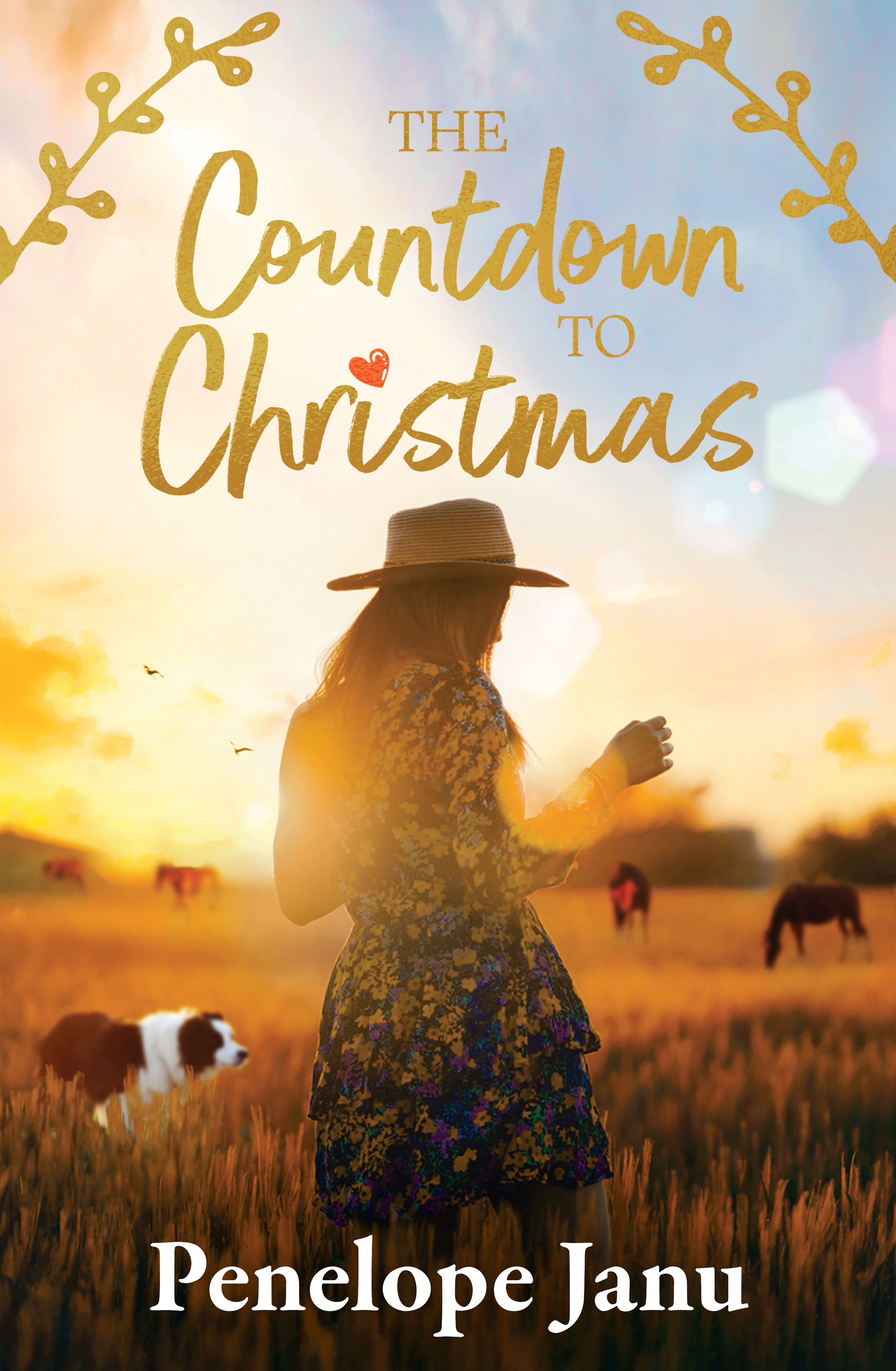 The Countdown to Christmas book cover