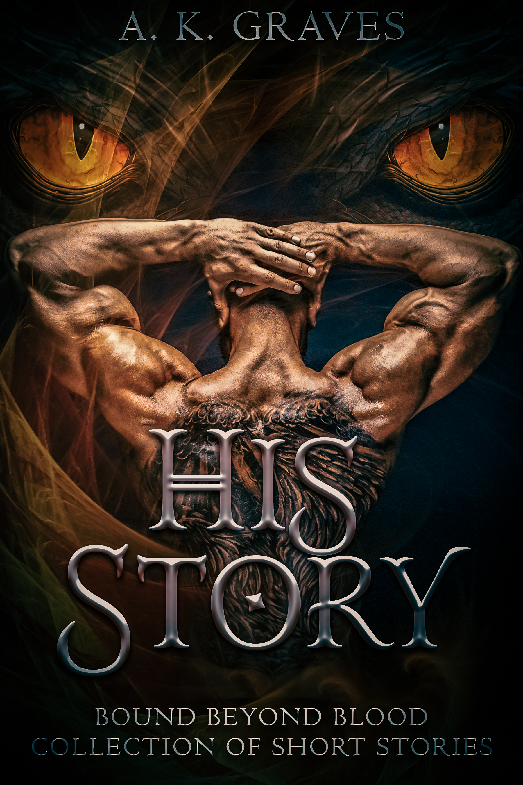 His Story book cover