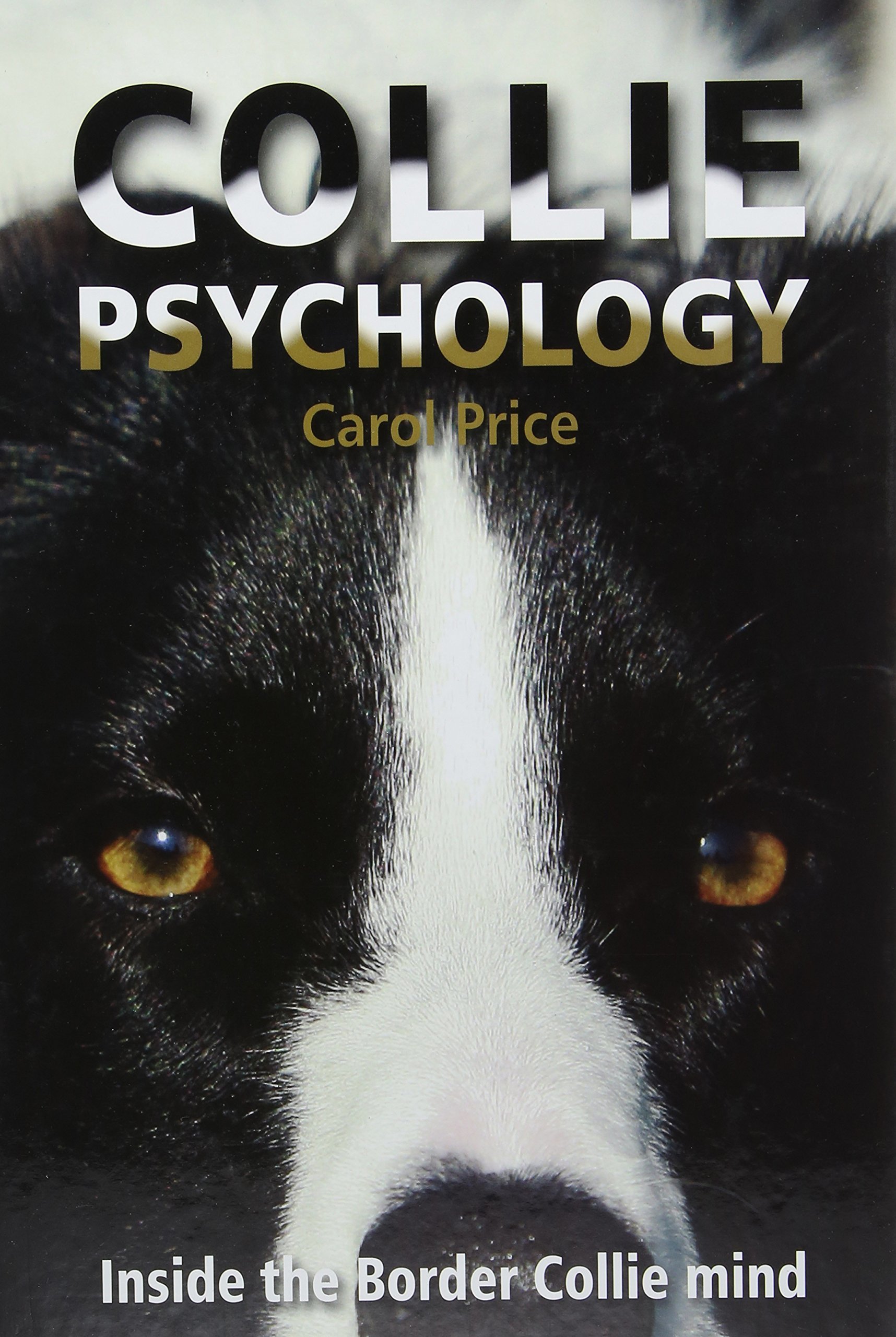 Collie Psychology book cover