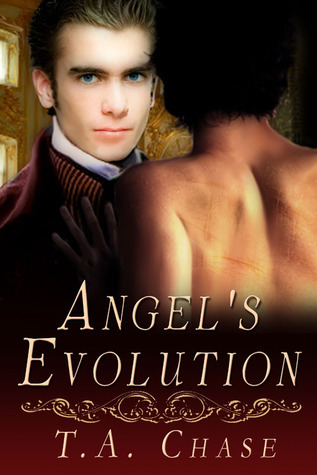 Angel's Evolution book cover
