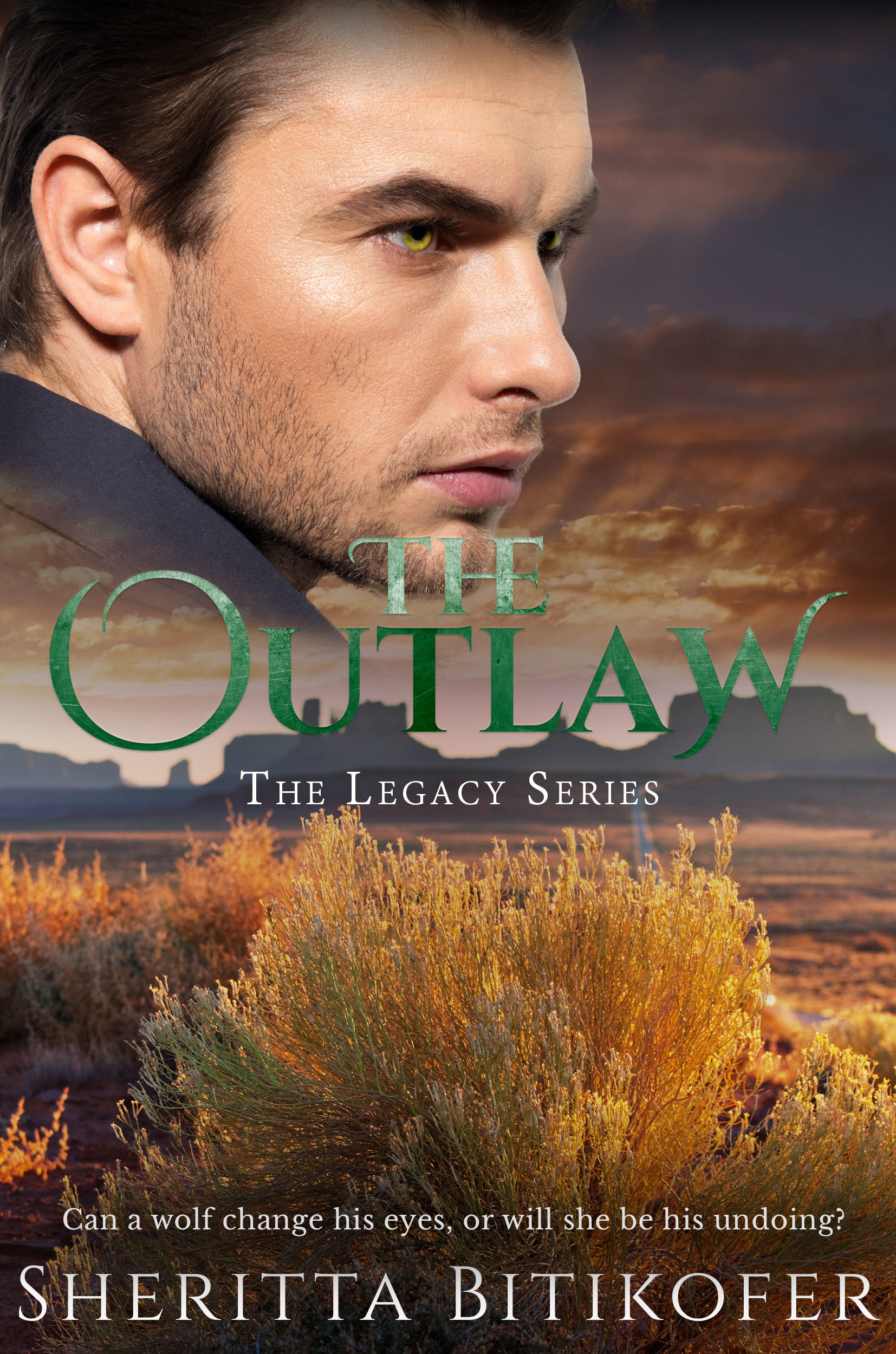 The Outlaw book cover