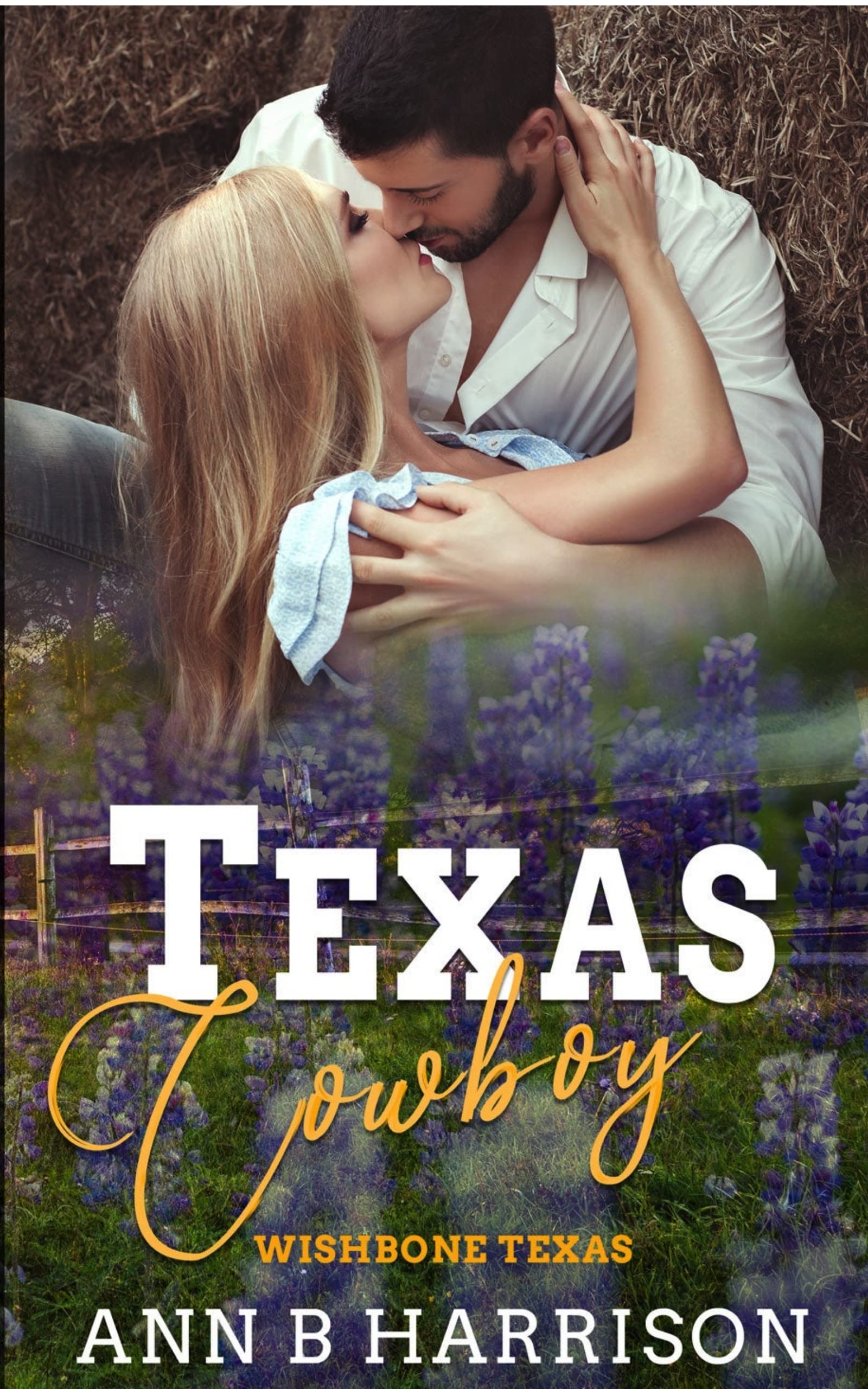 Wishbone, Texas book cover 1
