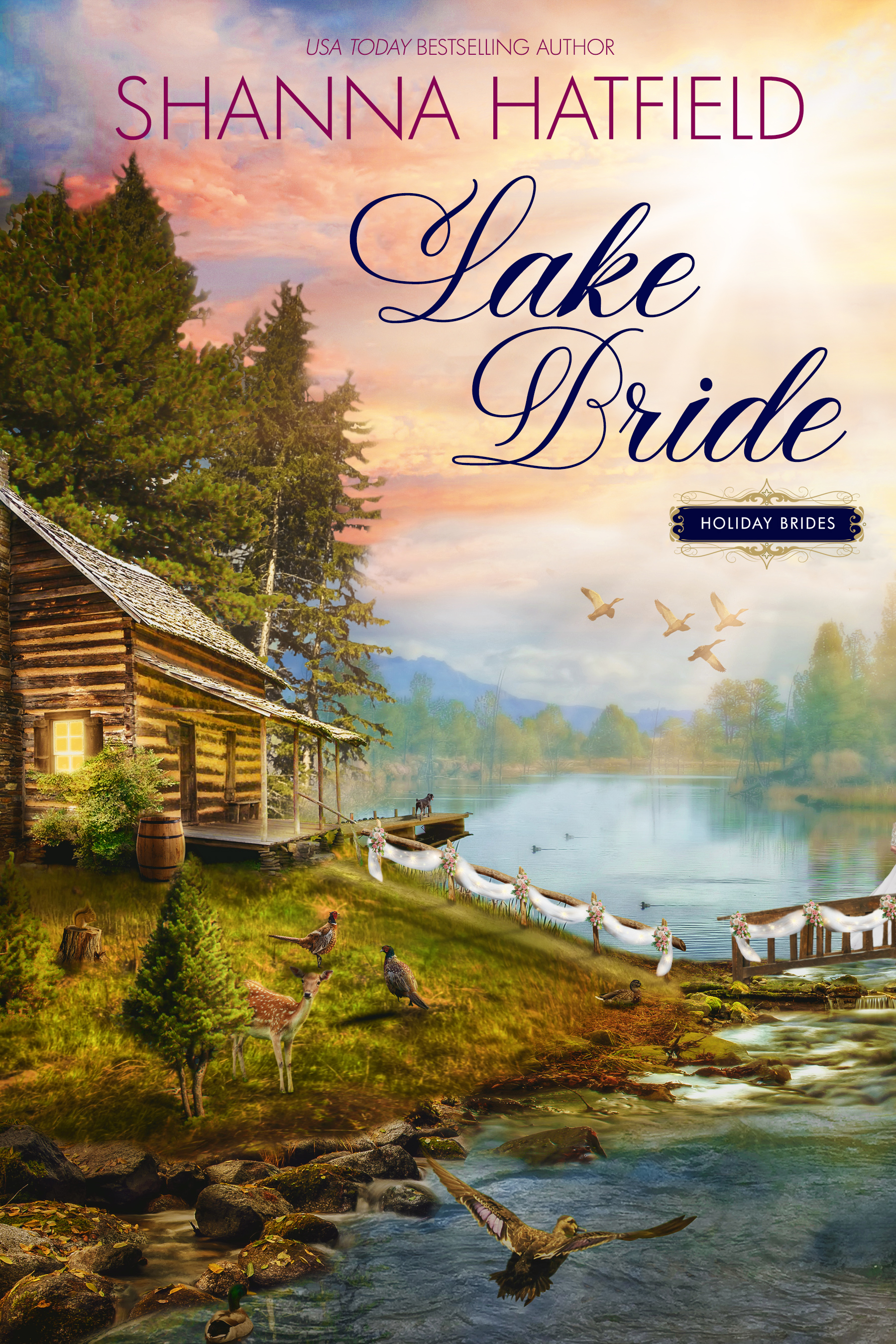 Lake Bride book cover
