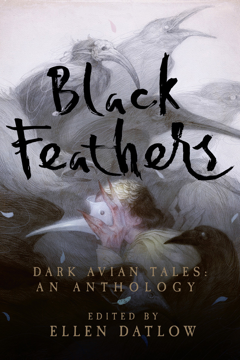 Black Feathers book cover