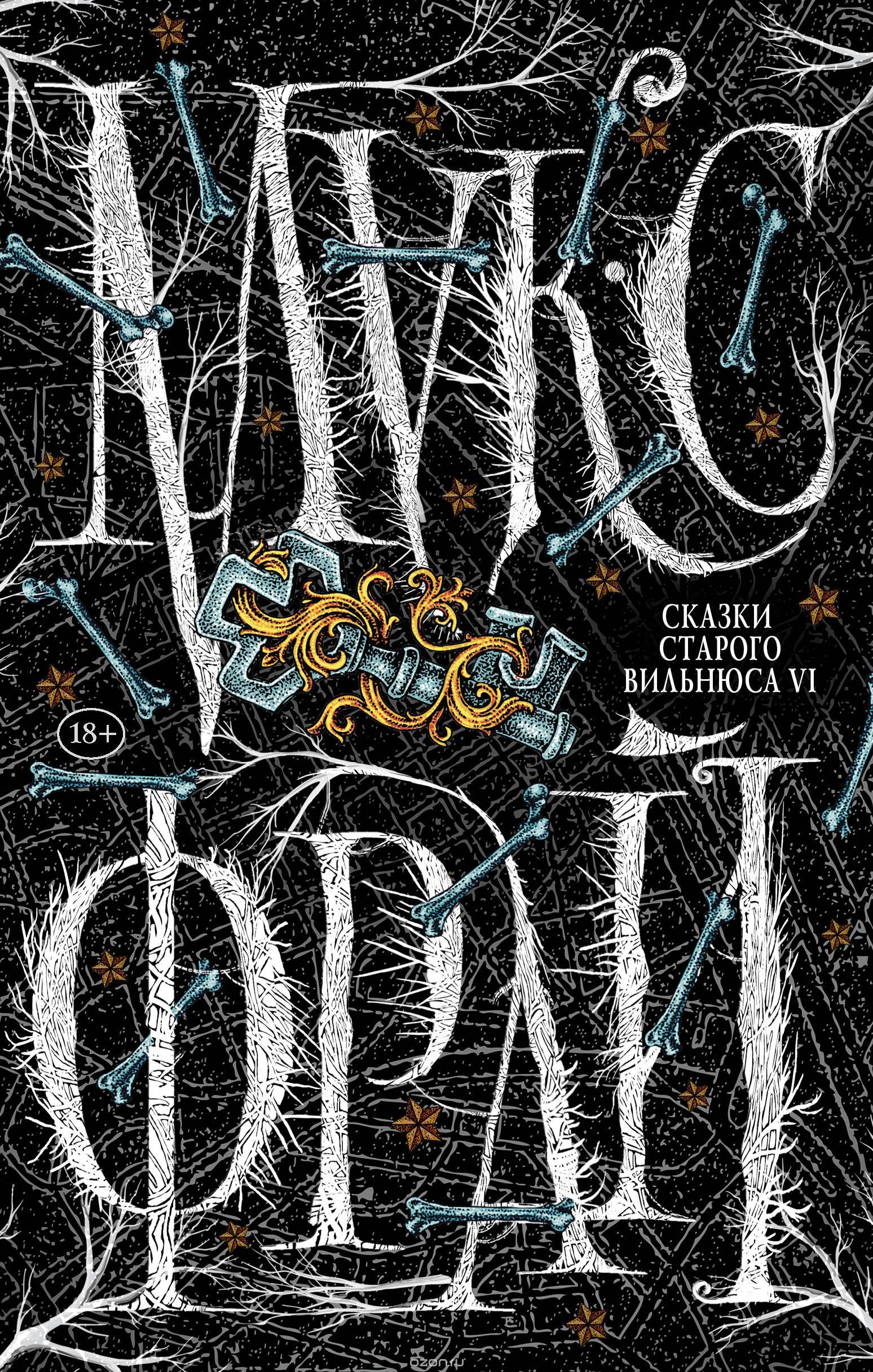 Сказки старого Вильнюса VI book cover