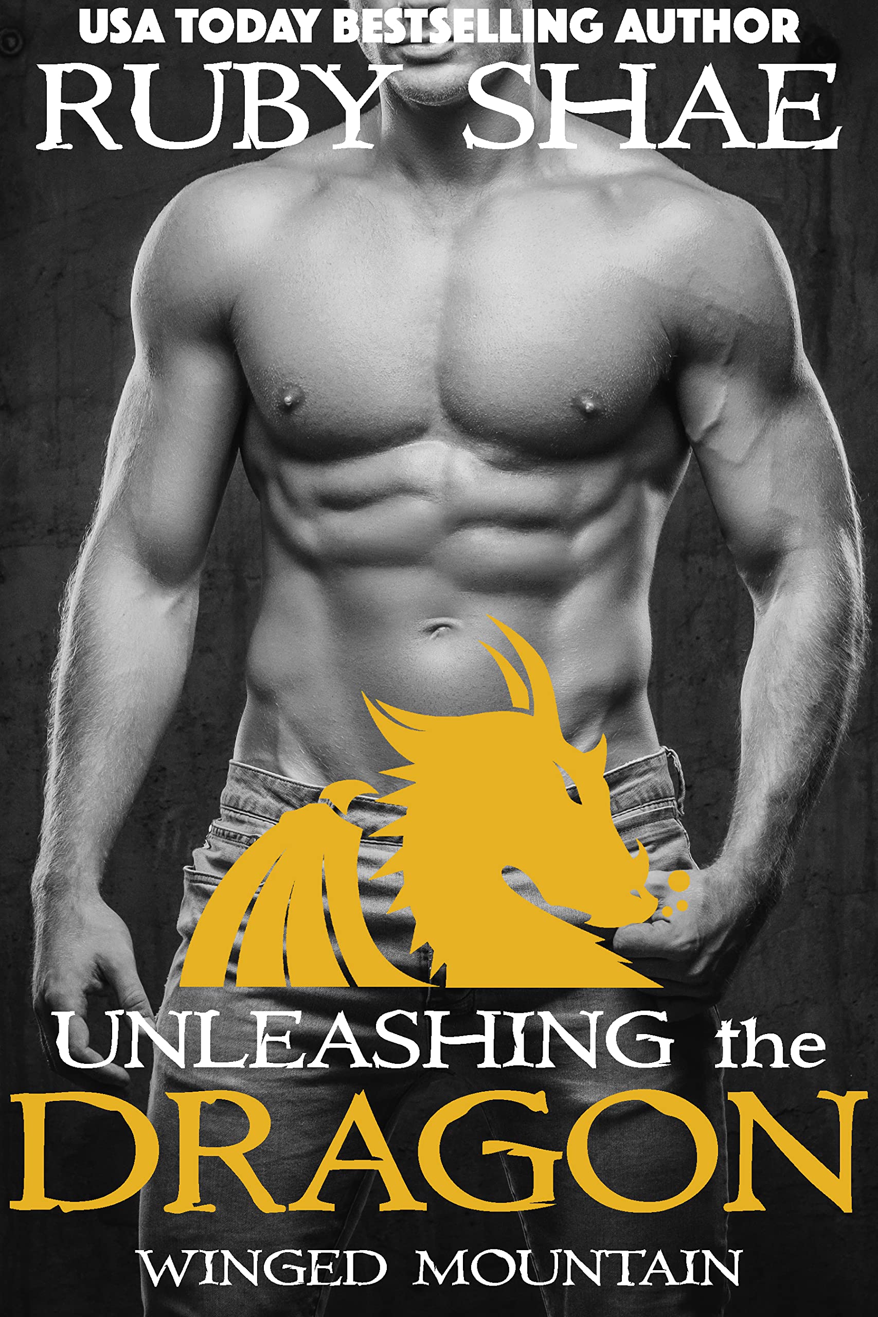 Winged Mountain book cover 1