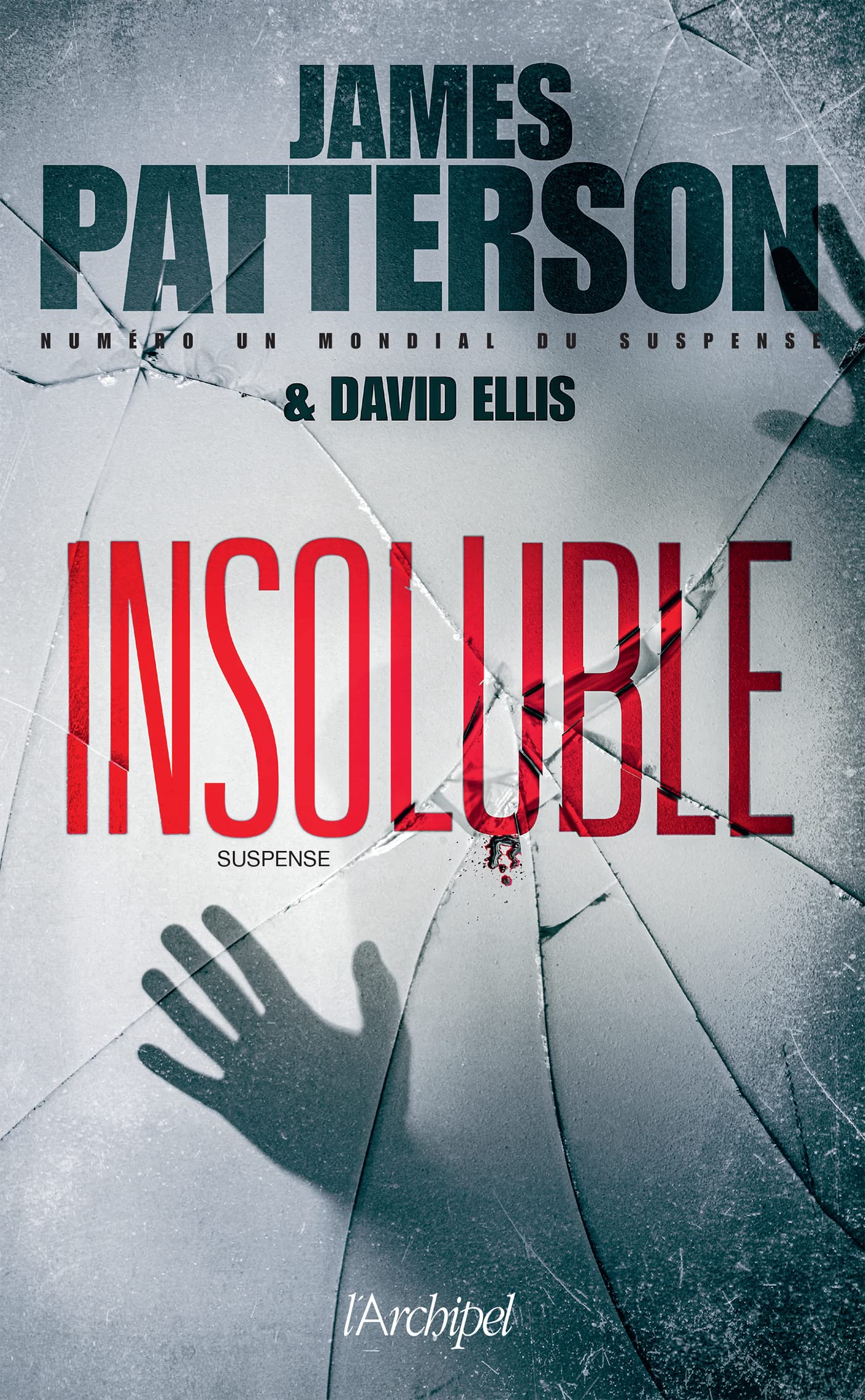 Insoluble book cover