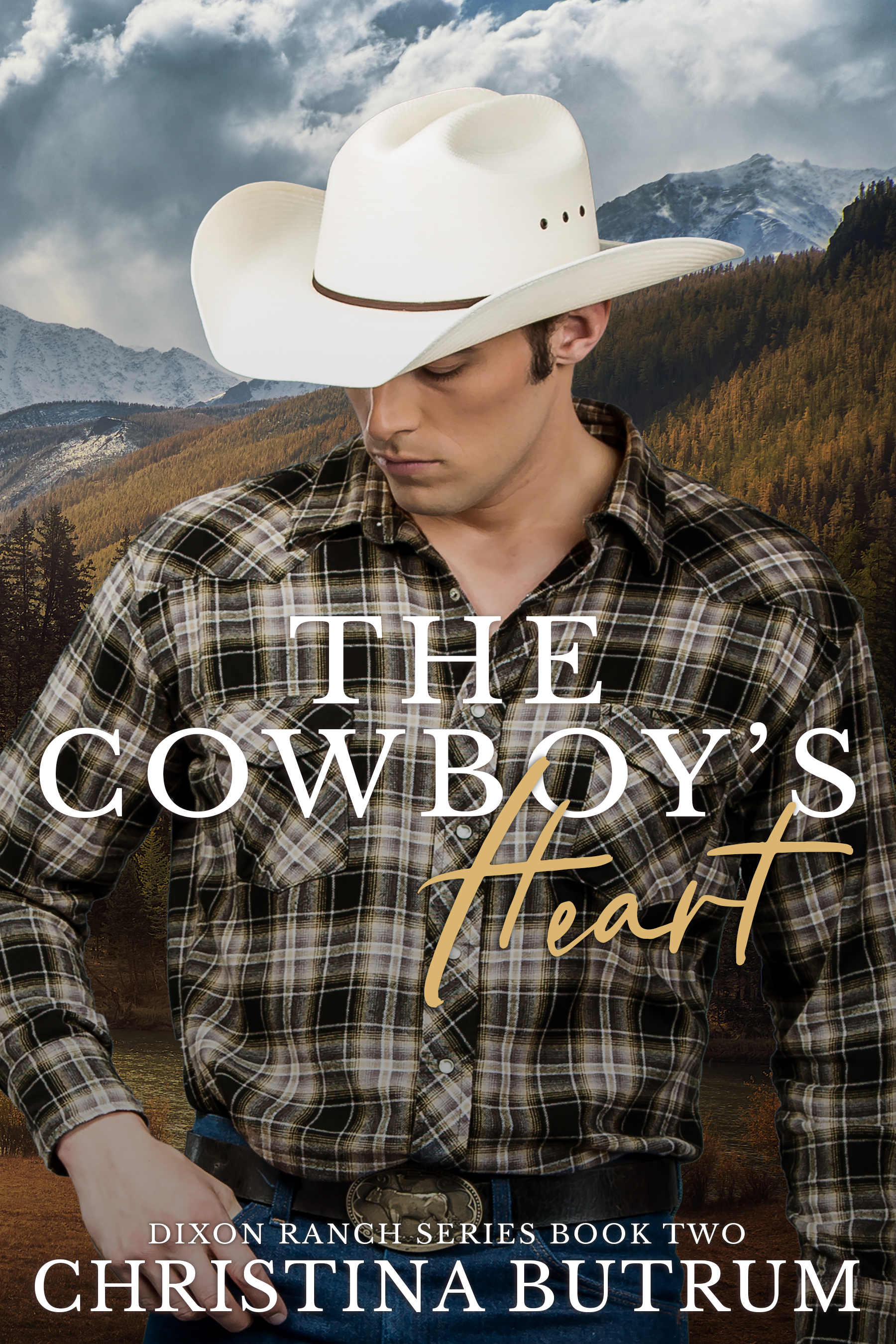 Dixon Ranch book cover 2
