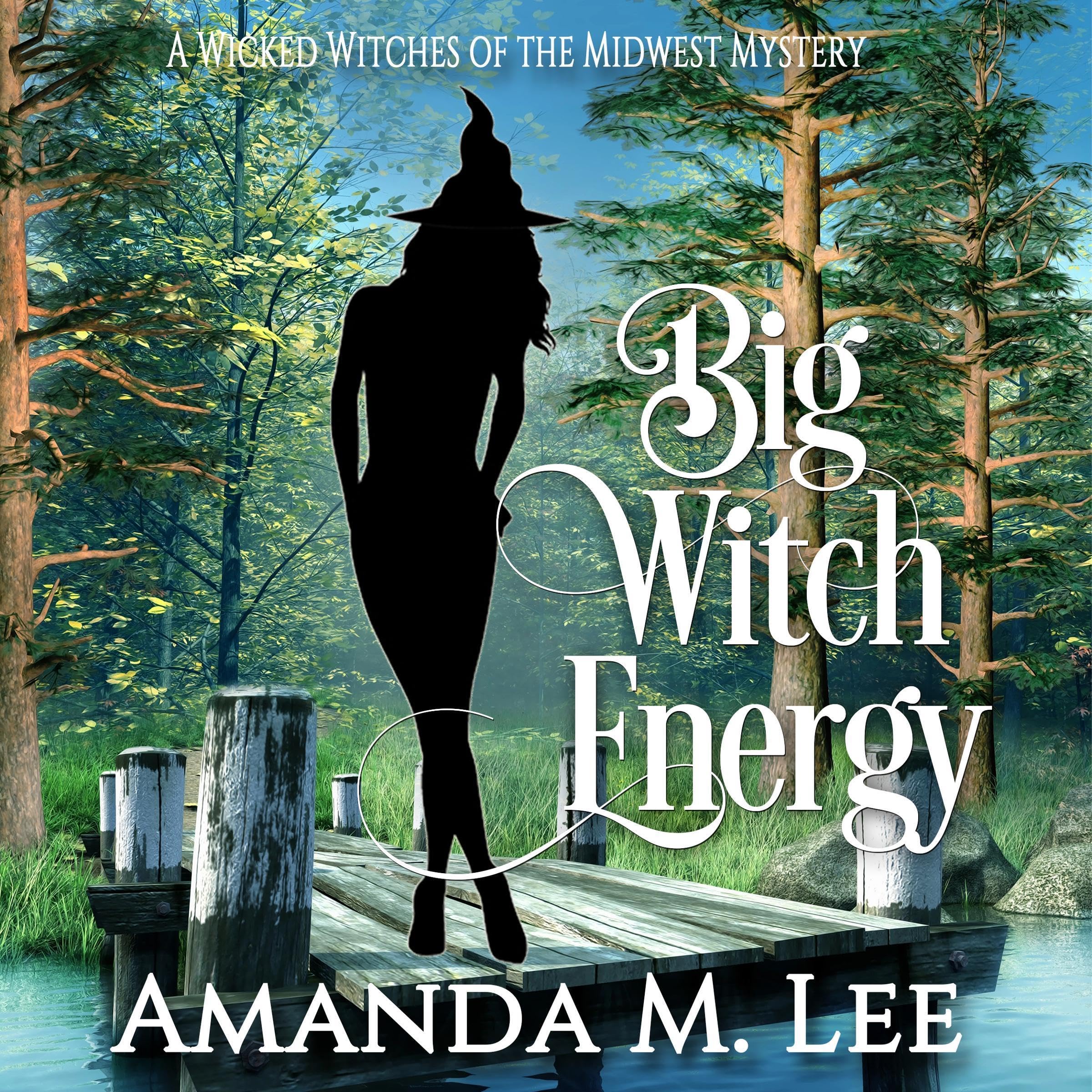 Big Witch Energy book cover