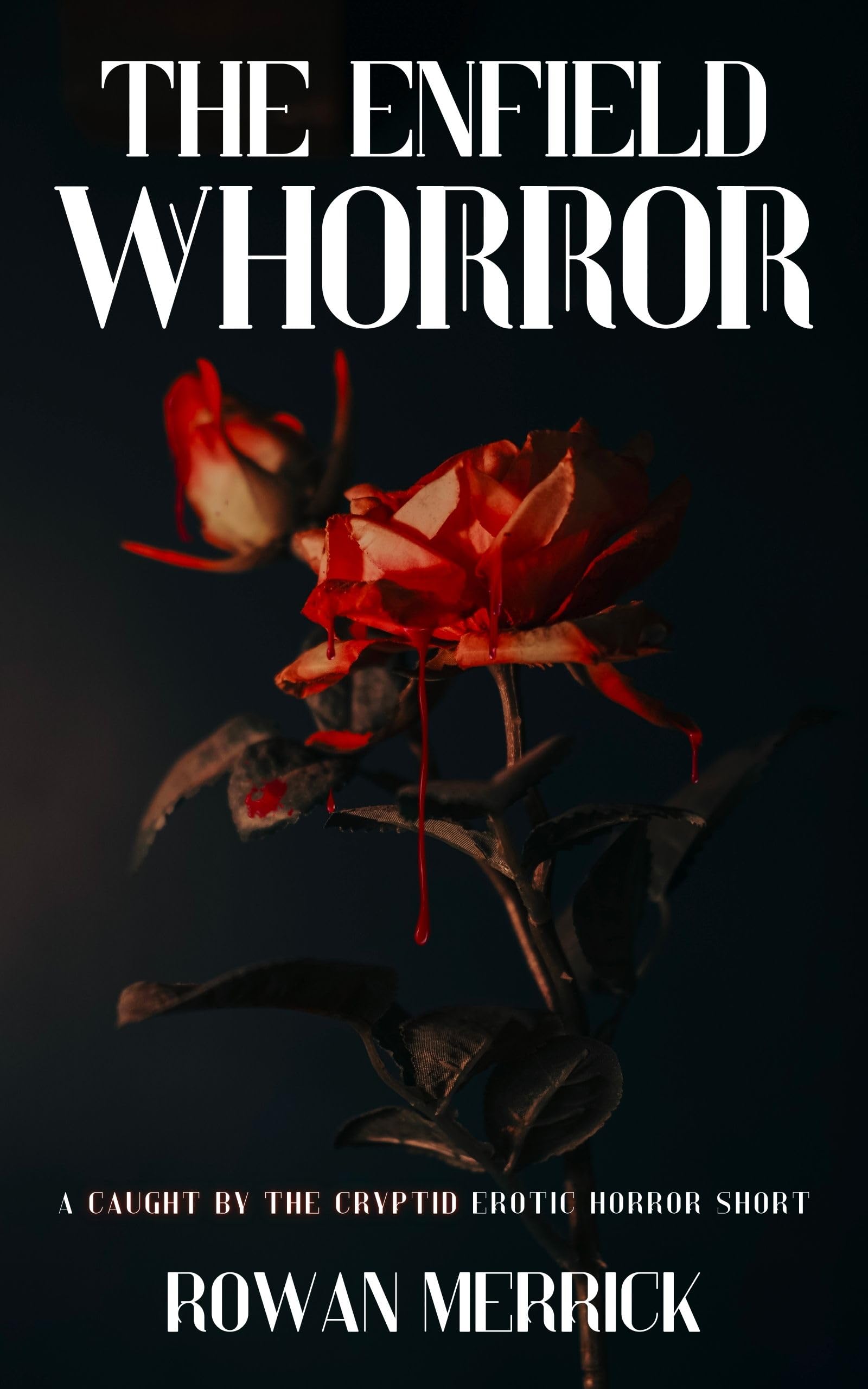 The Enfield Whorror book cover