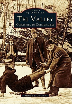 Tri Valley book cover