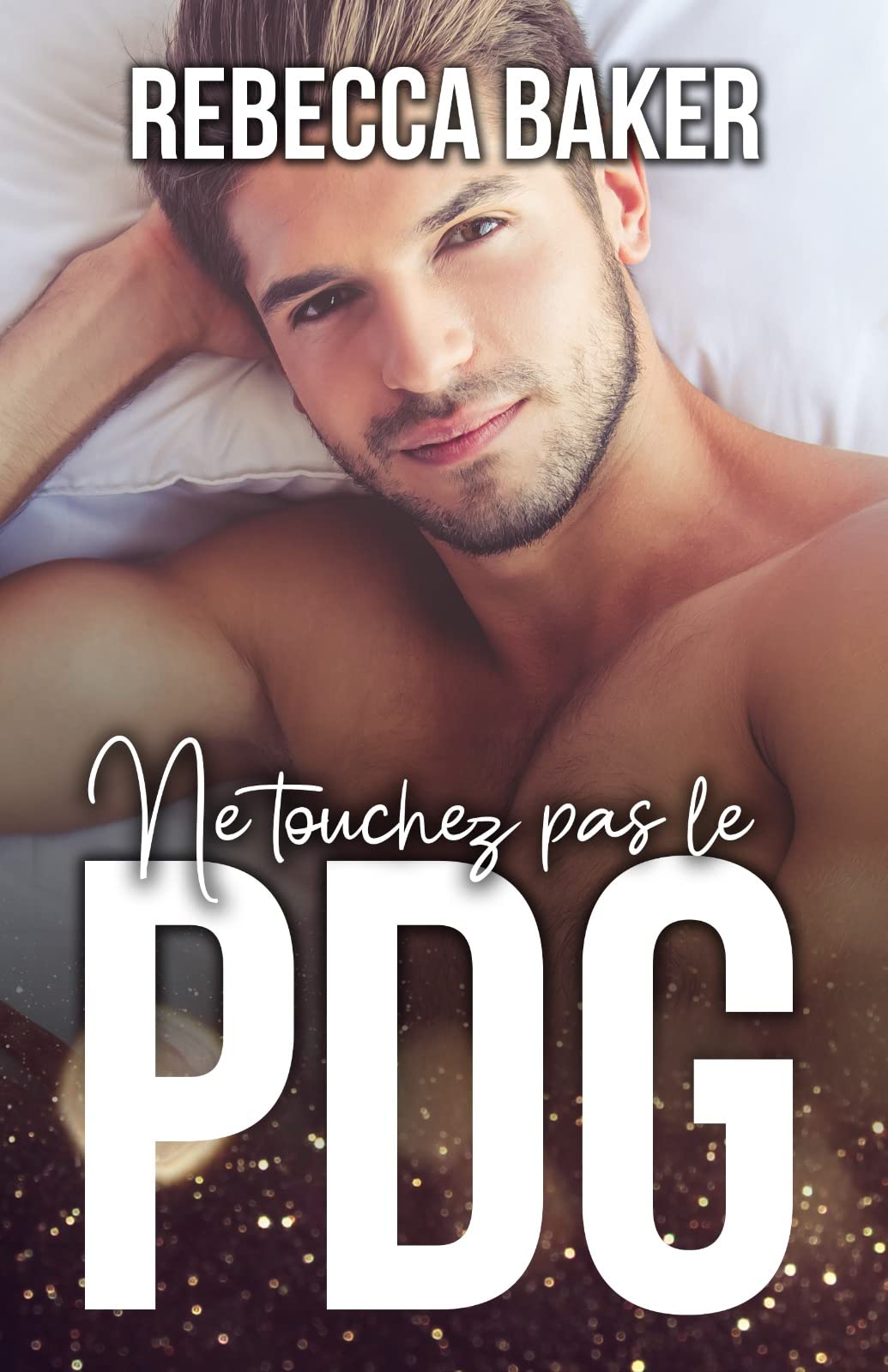 Ne touchez pas le PDG book cover
