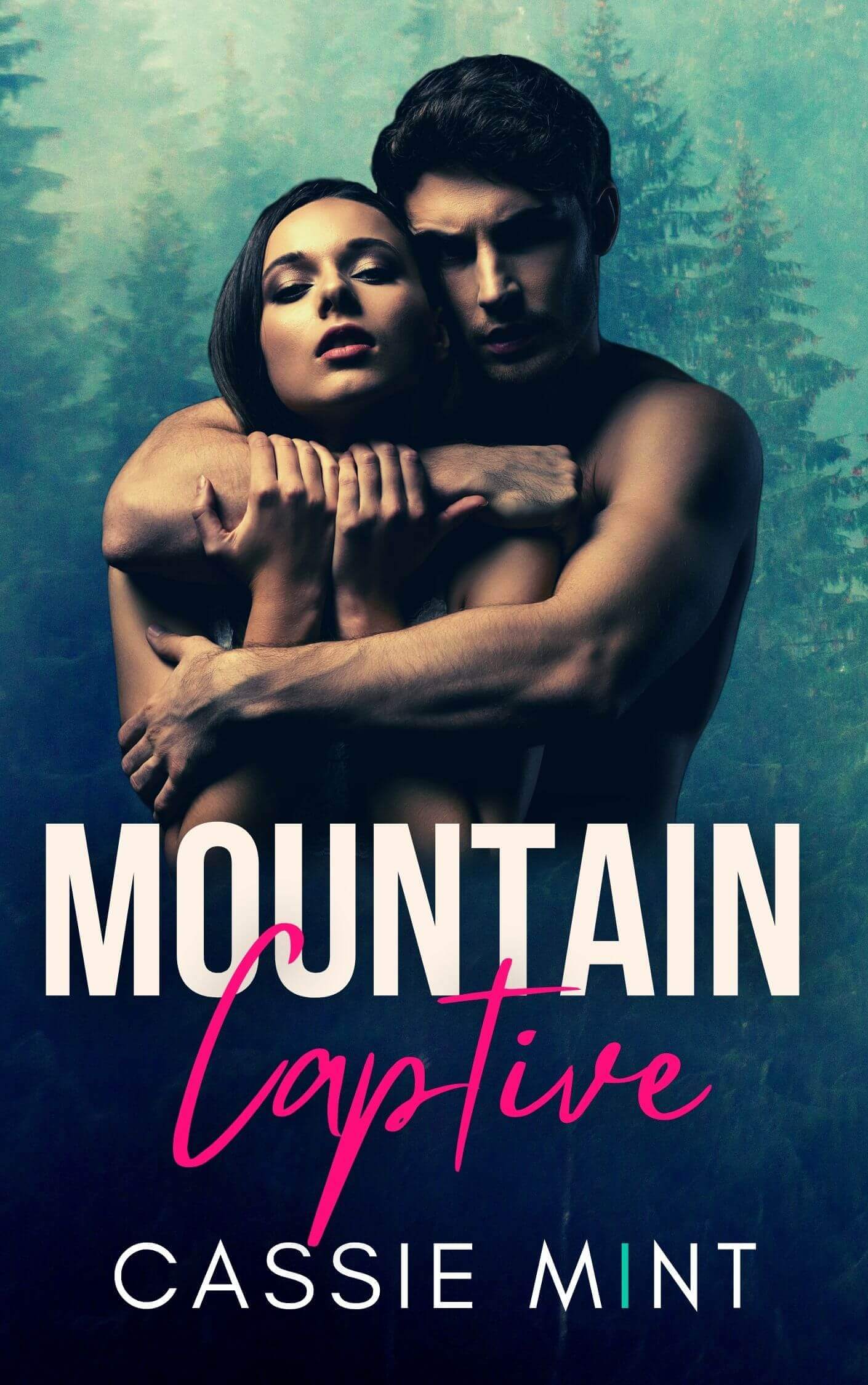Mountain Captive book cover