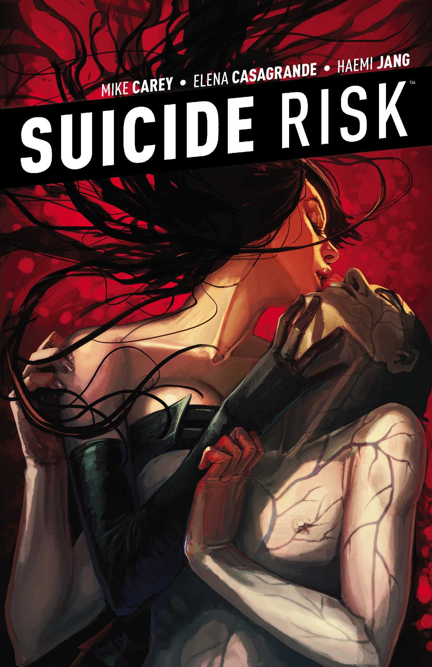 Suicide Risk book cover 2