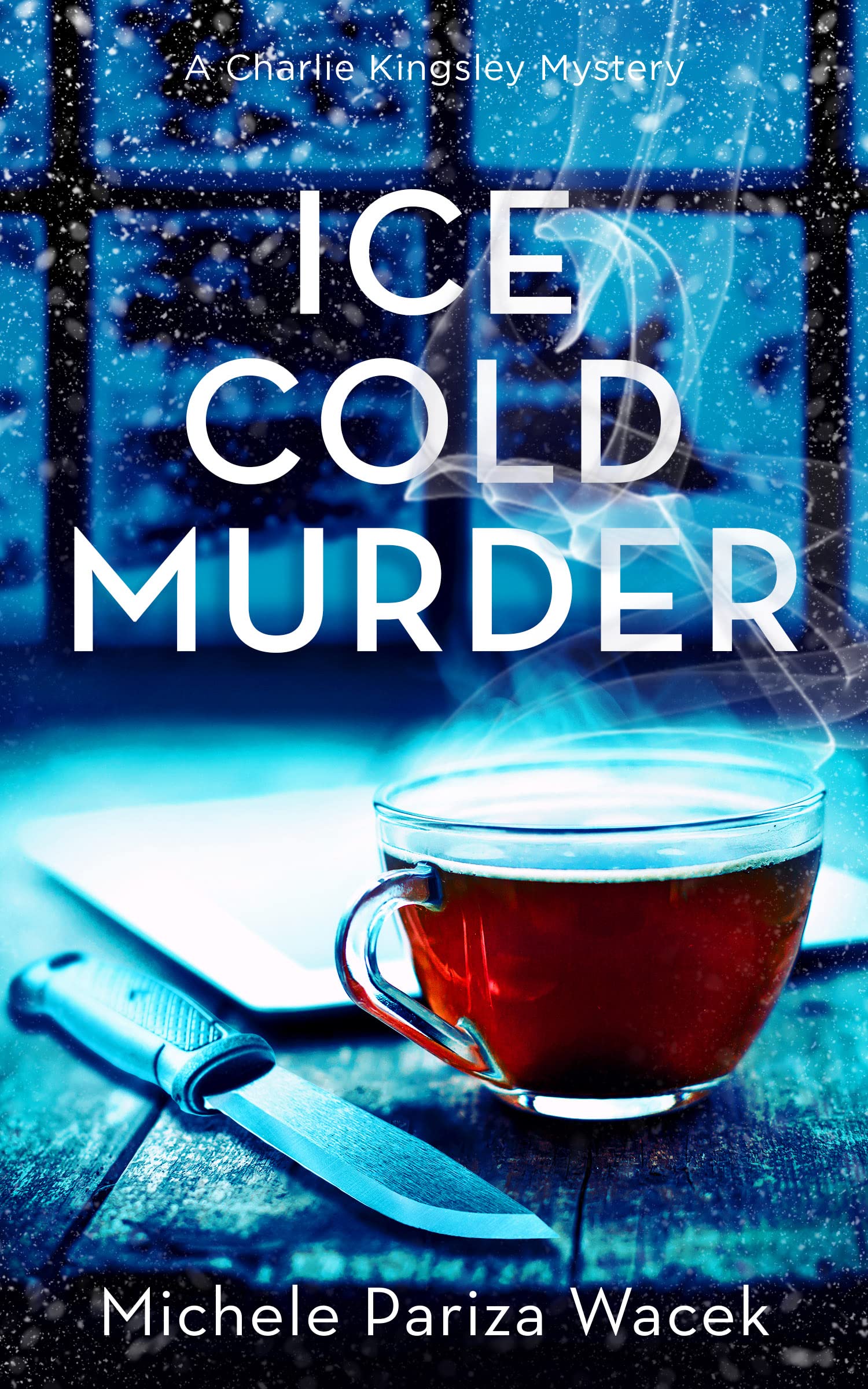 Ice Cold Murder book cover