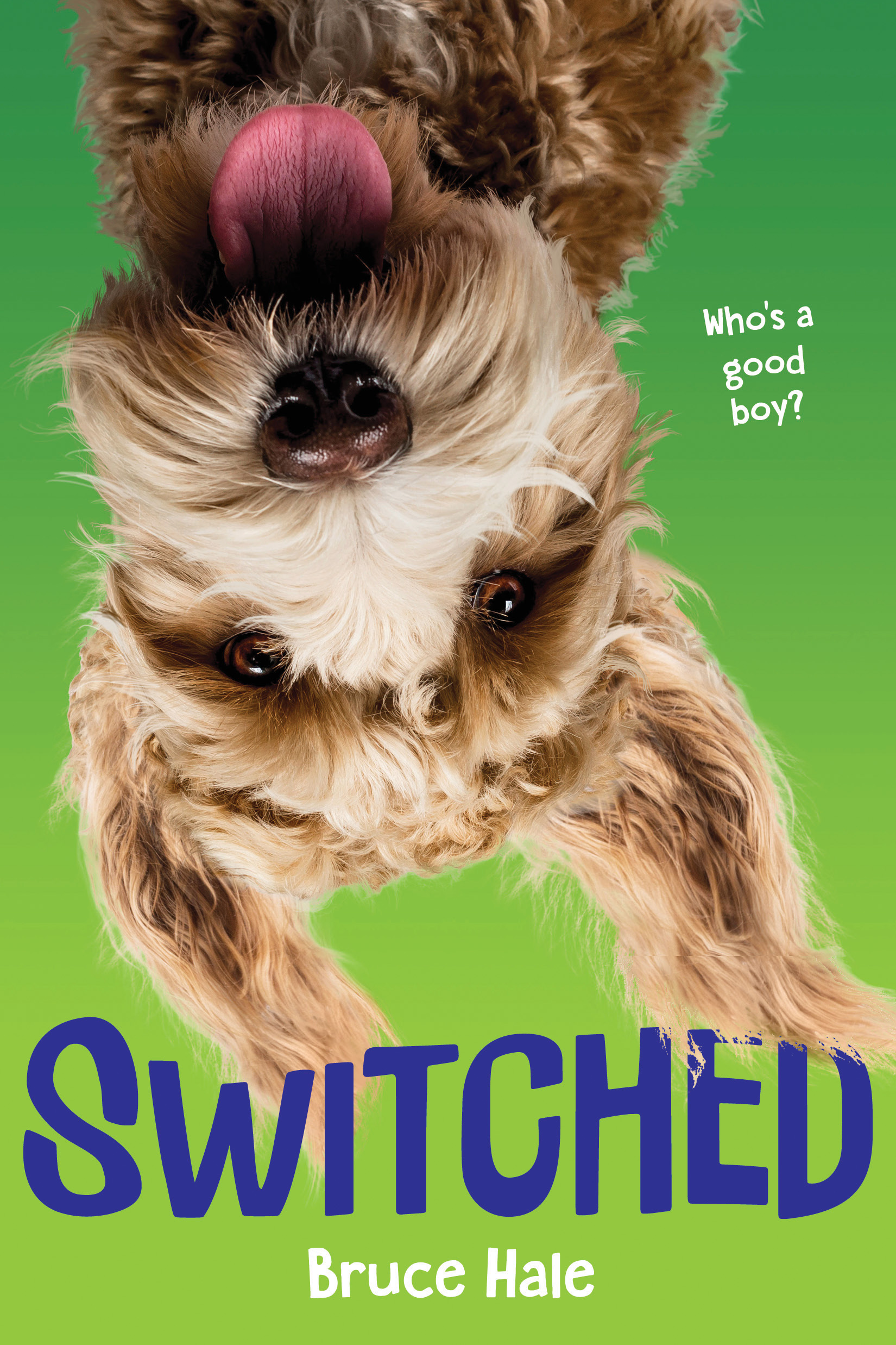 Switched book cover