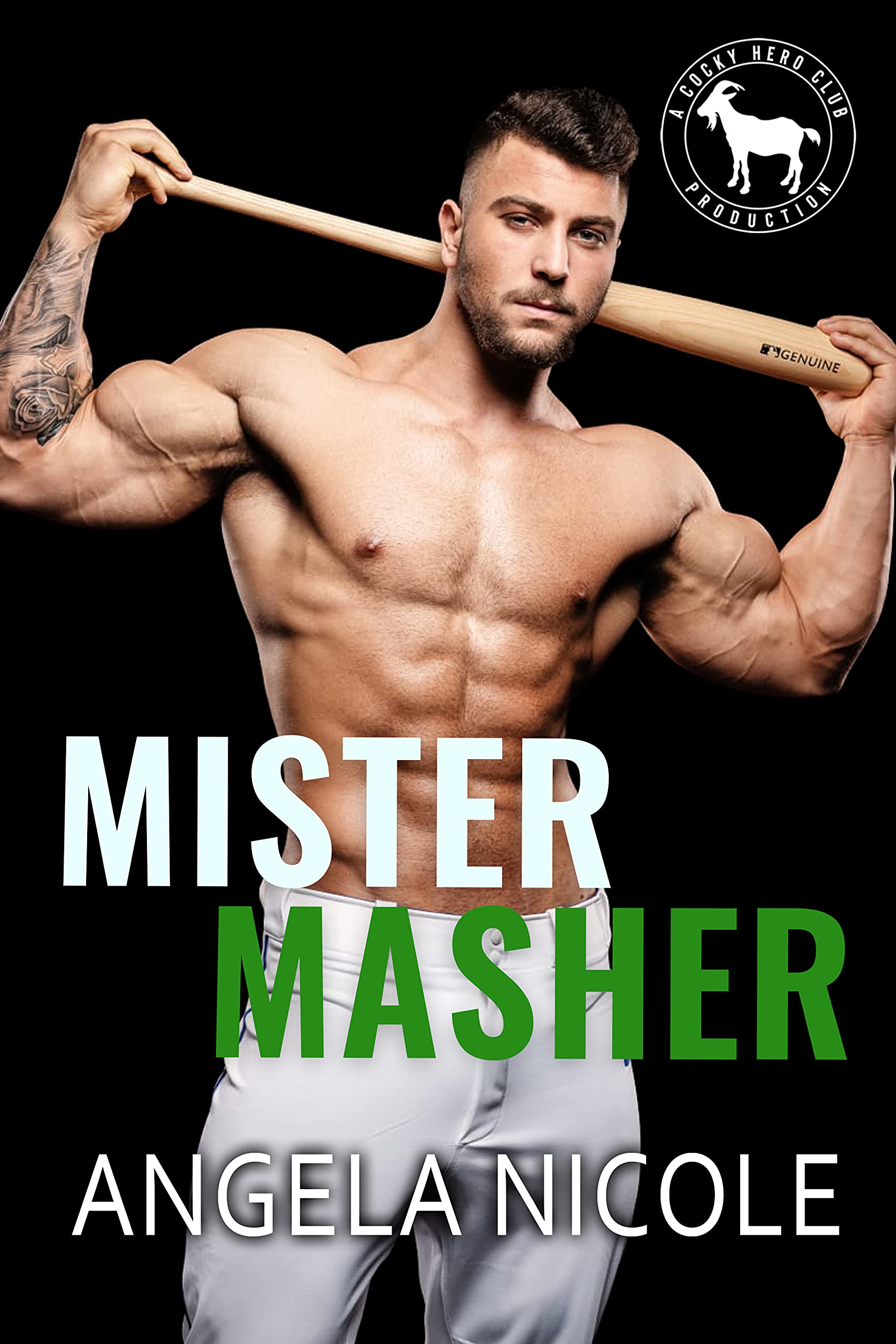 Mister Masher book cover
