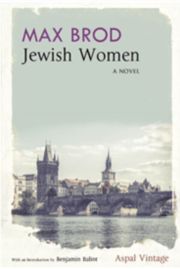 Jüdinnen book cover