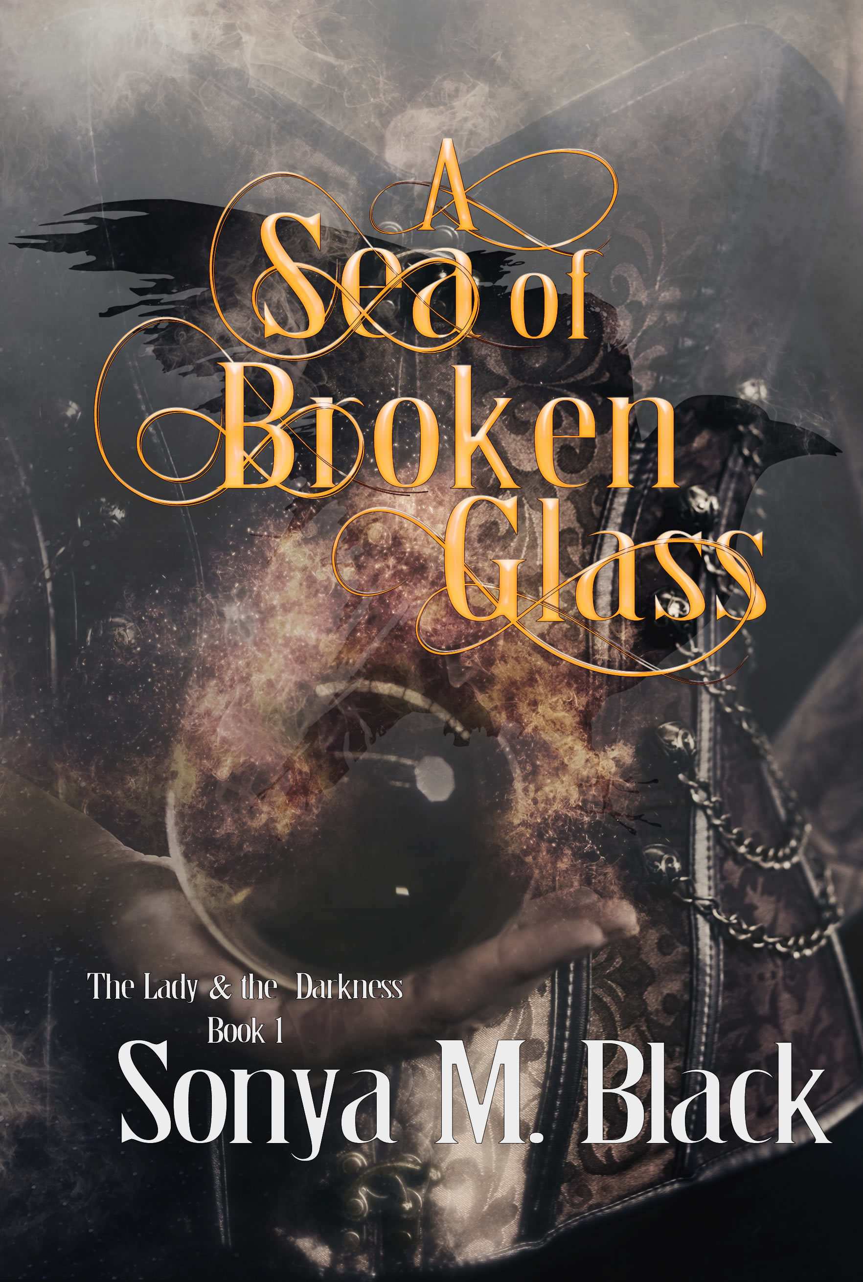 The Lady & The Darkness book cover 1
