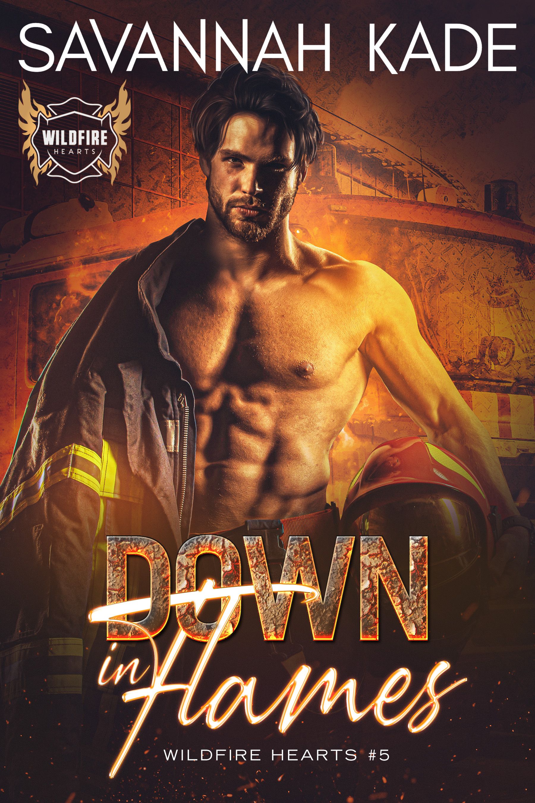 Down In Flames book cover