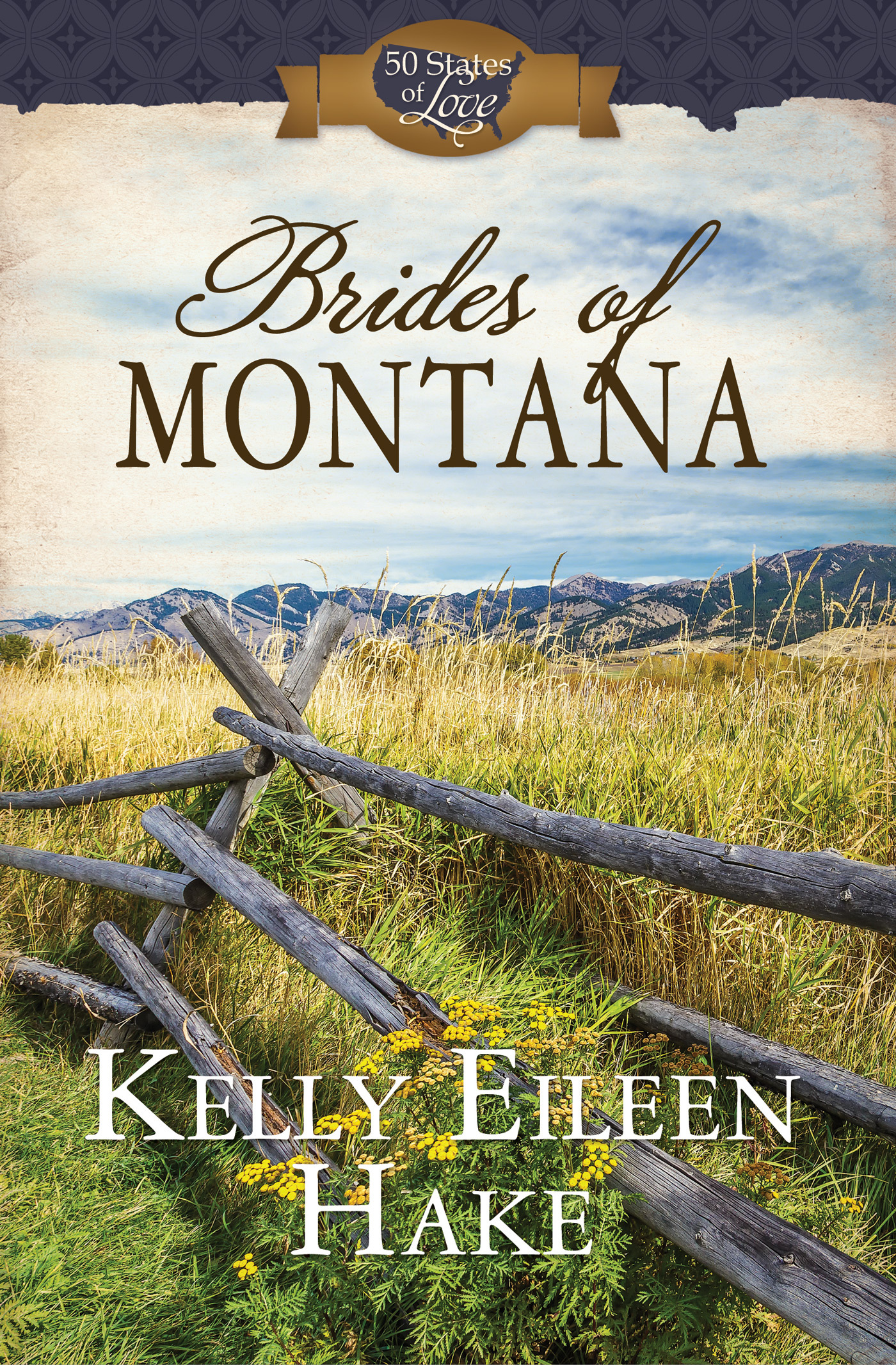 Brides of Montana book cover