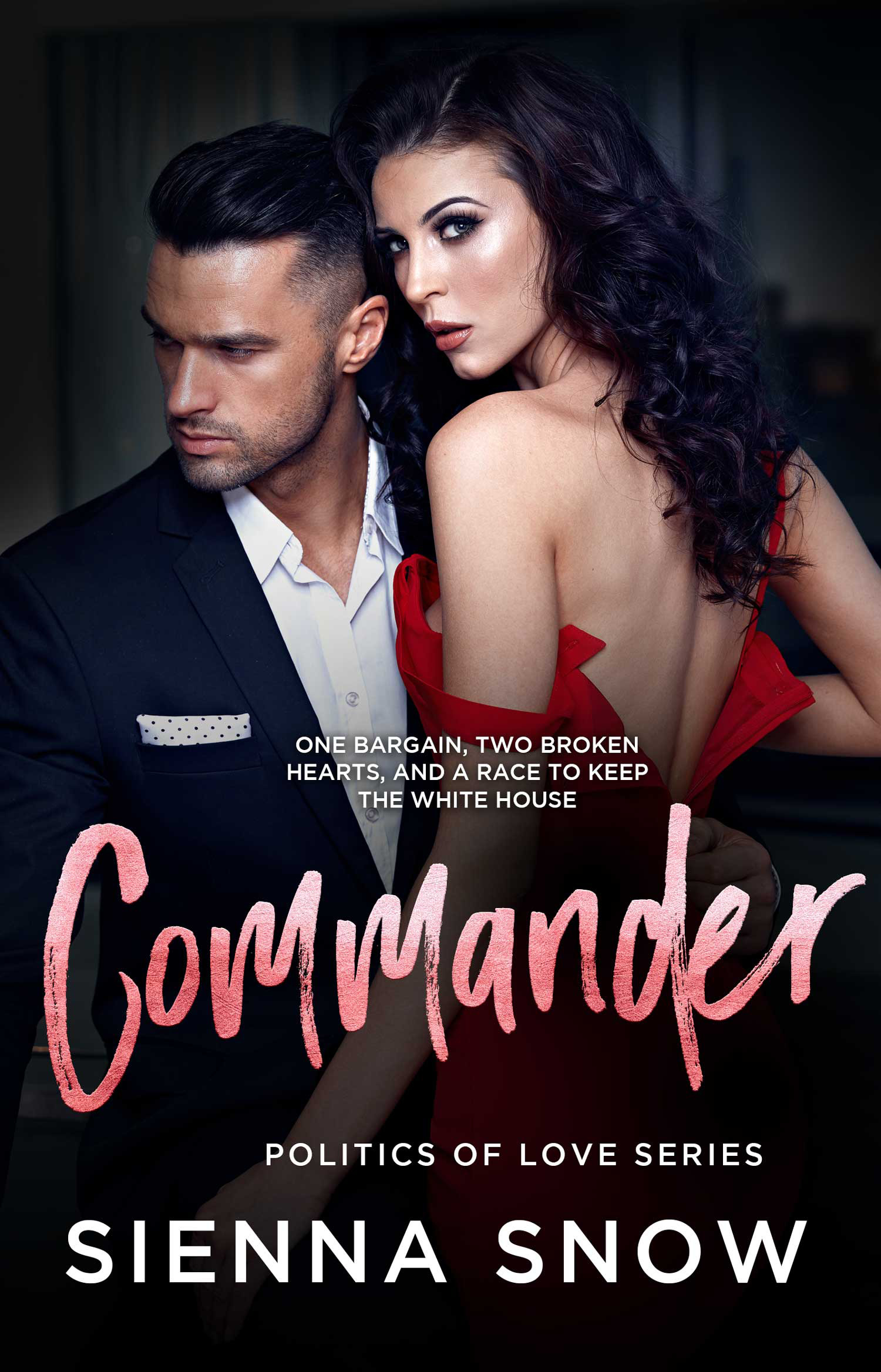 Politics of Love book cover 3