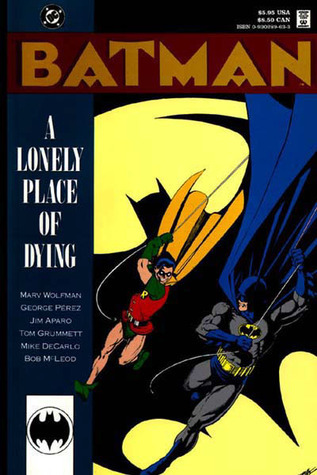 Batman book cover